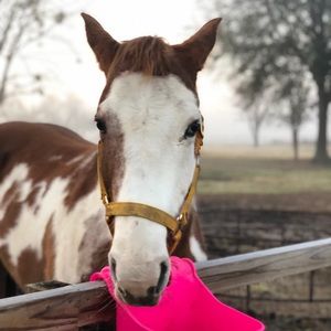 Meet your Posher, Michele